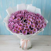 Букет цветов из:  Хризантемы в Первомайском Карачаево-Черкесской республики