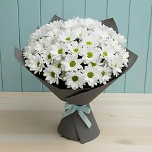 Букет цветов из:  Хризантемы #REPLACE_PRED# Первомайском Карачаево-Черкесской республики