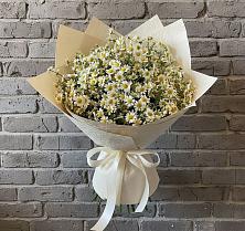 Букет цветов из:  Ромашки #REPLACE_PRED# Первомайском Карачаево-Черкесской республики