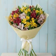 Букет цветов из:  Альстромерии в Первомайском Карачаево-Черкесской республики