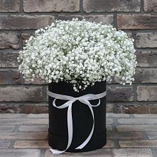 Цветочная композиция из Гипсофила в шляпной коробке #REPLACE_PRED# Первомайском Карачаево-Черкесской республики