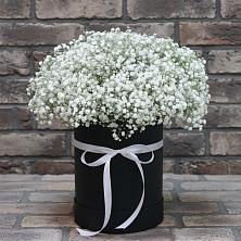 Цветочная композиция из Гипсофила в шляпной коробке в Первомайском Карачаево-Черкесской республики