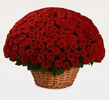 Премиум букет из: Розы в Первомайском Карачаево-Черкесской республики