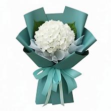 Букет цветов из:  Гортензия в Первомайском Карачаево-Черкесской республики